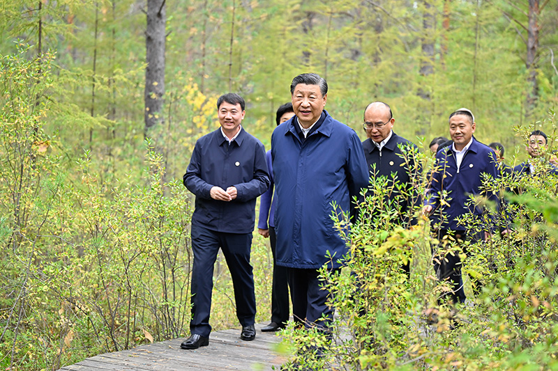 9月6日至8日，中共中央總書記、國家主席、中央軍委主席習近平在黑龍江考察。這是6日下午，習近平在大興安嶺地區漠河市漠河林場自然林區考察